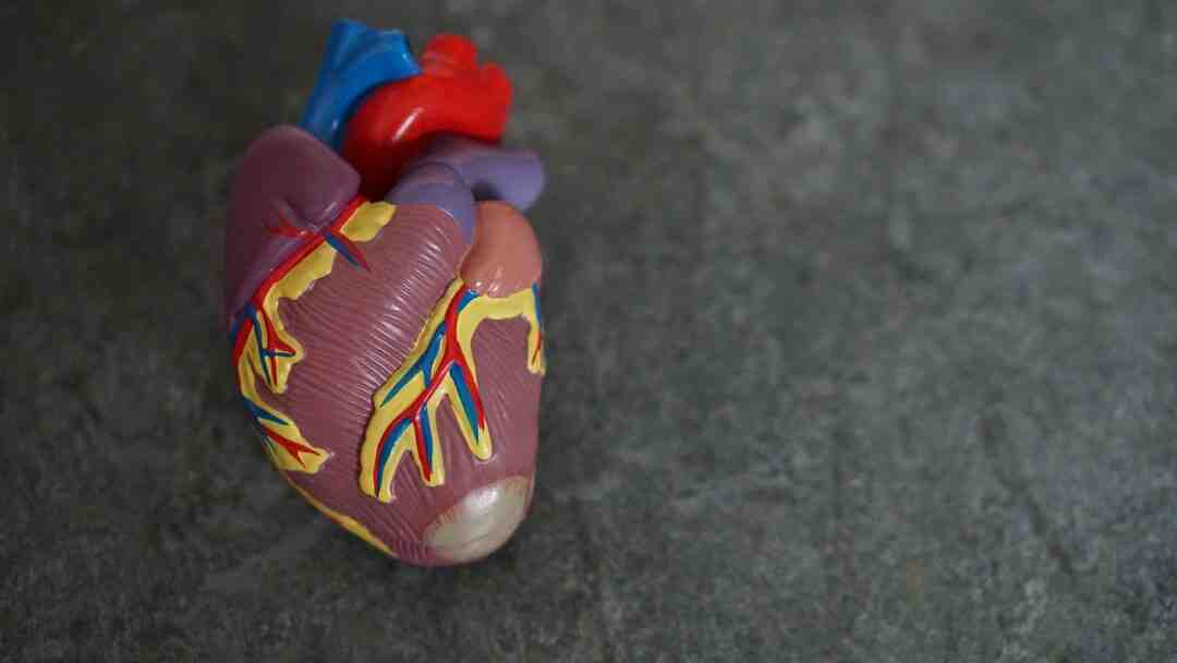 Comment calculer fréquence cardiaque